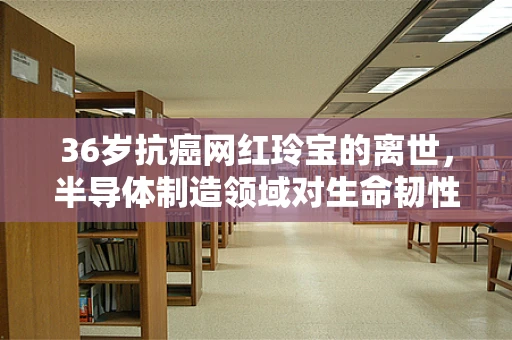 36岁抗癌网红玲宝的离世，半导体制造领域对生命韧性的反思