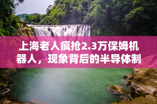 上海老人疯抢2.3万保姆机器人，现象背后的半导体制造与智能养老新思考
