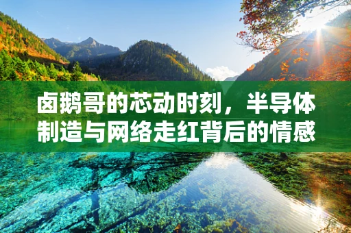 卤鹅哥的芯动时刻，半导体制造与网络走红背后的情感共鸣