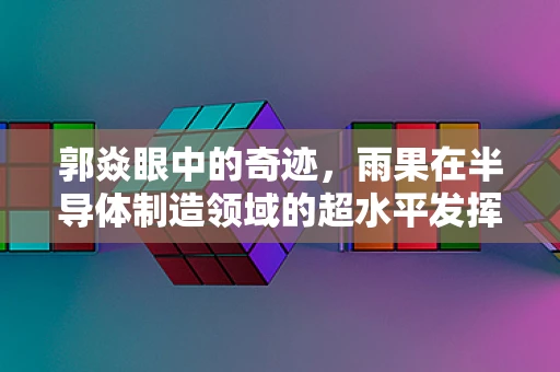 郭焱眼中的奇迹，雨果在半导体制造领域的超水平发挥