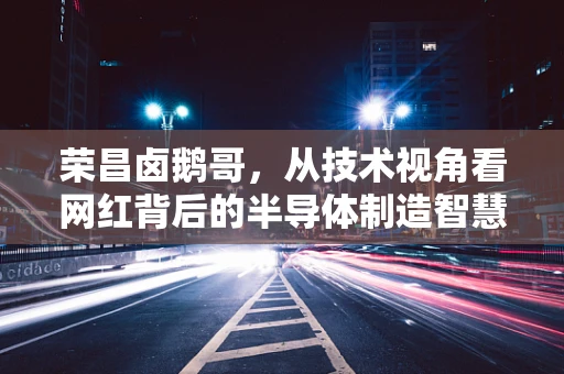 荣昌卤鹅哥，从技术视角看网红背后的半导体制造智慧