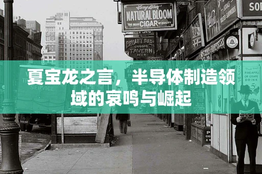 夏宝龙之言，半导体制造领域的哀鸣与崛起