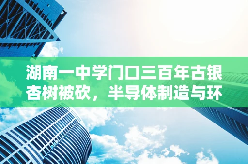 湖南一中学门口三百年古银杏树被砍，半导体制造与环境保护的双重挑战