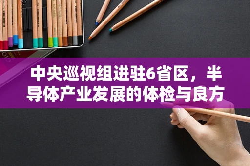 中央巡视组进驻6省区，半导体产业发展的体检与良方？
