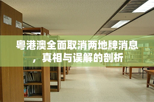 粤港澳全面取消两地牌消息，真相与误解的剖析