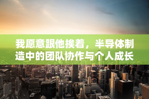 我愿意跟他挨着，半导体制造中的团队协作与个人成长