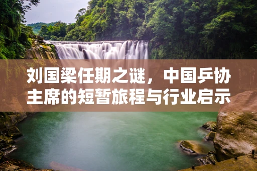刘国梁任期之谜，中国乒协主席的短暂旅程与行业启示