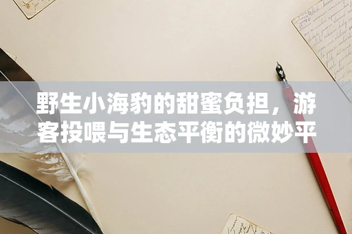 野生小海豹的甜蜜负担，游客投喂与生态平衡的微妙平衡
