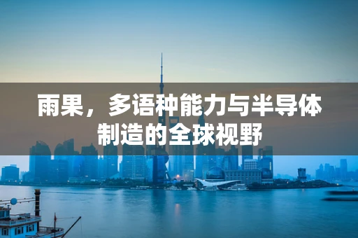 雨果，多语种能力与半导体制造的全球视野