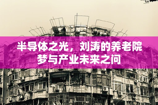 半导体之光，刘涛的养老院梦与产业未来之问
