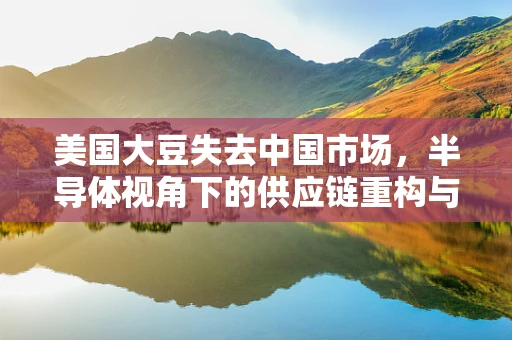 美国大豆失去中国市场，半导体视角下的供应链重构与挑战