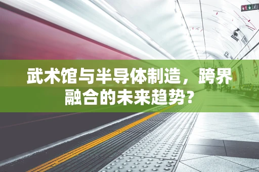 武术馆与半导体制造，跨界融合的未来趋势？