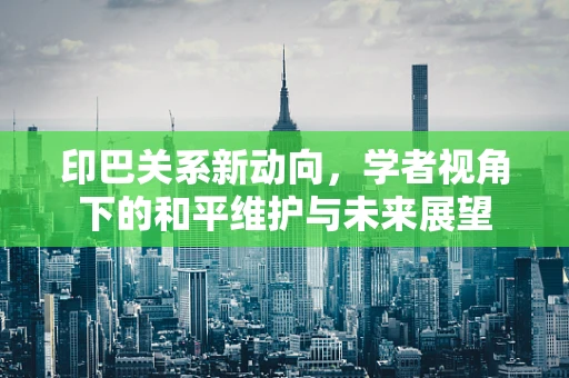 印巴关系新动向，学者视角下的和平维护与未来展望