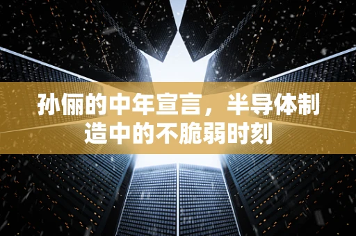 孙俪的中年宣言，半导体制造中的不脆弱时刻