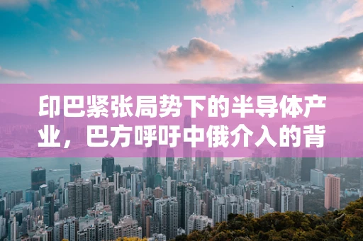 印巴紧张局势下的半导体产业，巴方呼吁中俄介入的背后考量与大V解读