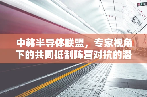 中韩半导体联盟，专家视角下的共同抵制阵营对抗的潜力与挑战