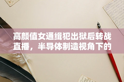 高颜值女通缉犯出狱后转战直播，半导体制造视角下的社会与法律反思