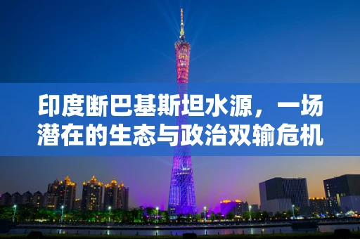 印度断巴基斯坦水源，一场潜在的生态与政治双输危机？