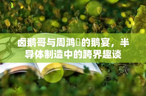 卤鹅哥与周鸿祎的鹅宴，半导体制造中的跨界趣谈