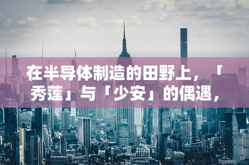 在半导体制造的田野上，「秀莲」与「少安」的偶遇，技术交汇的偶然与必然
