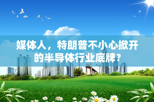 媒体人，特朗普不小心掀开的半导体行业底牌？