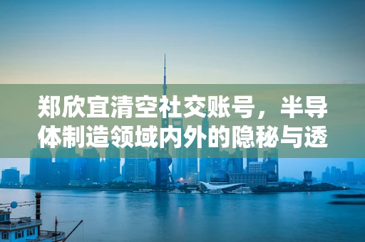 郑欣宜清空社交账号，半导体制造领域内外的隐秘与透明