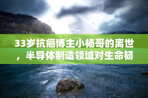 33岁抗癌博主小杨哥的离世，半导体制造领域对生命韧性的反思