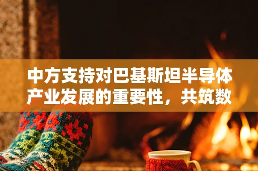 中方支持对巴基斯坦半导体产业发展的重要性，共筑数字未来之基