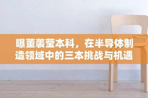 曝董袭莹本科，在半导体制造领域中的三本挑战与机遇