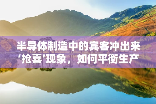 半导体制造中的宾客冲出来‘抢喜’现象，如何平衡生产安全与效率？