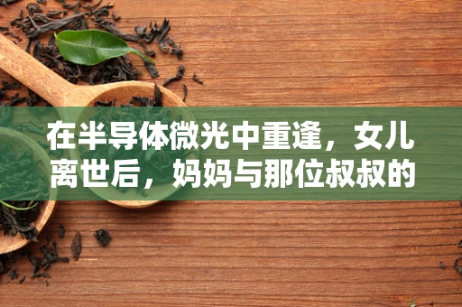 在半导体微光中重逢，女儿离世后，妈妈与那位叔叔的命运交织