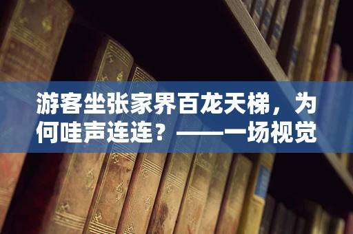 游客坐张家界百龙天梯，为何哇声连连？——一场视觉与科技的完美交融