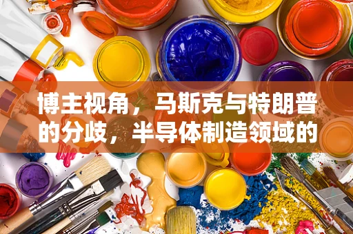 博主视角，马斯克与特朗普的分歧，半导体制造领域的隐秘交锋