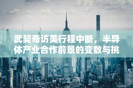 武契奇访美行程中断，半导体产业合作前景的变数与挑战