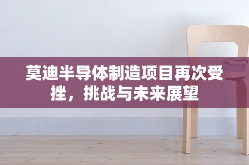 莫迪半导体制造项目再次受挫，挑战与未来展望