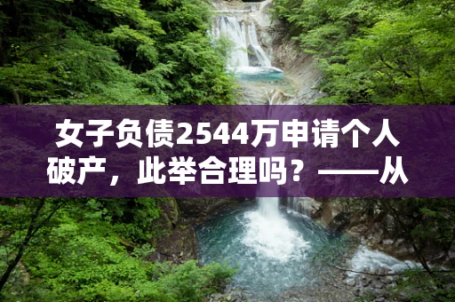 女子负债2544万申请个人破产，此举合理吗？——从半导体制造视角的深度剖析