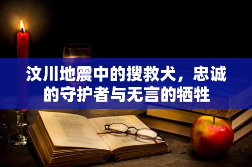 汶川地震中的搜救犬，忠诚的守护者与无言的牺牲