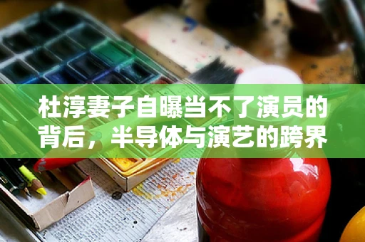 杜淳妻子自曝当不了演员的背后，半导体与演艺的跨界思考