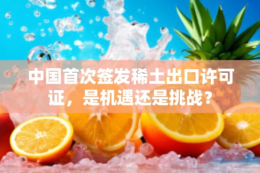 中国首次签发稀土出口许可证，是机遇还是挑战？