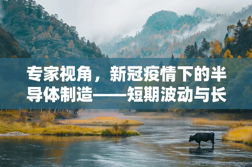 专家视角，新冠疫情下的半导体制造——短期波动与长期趋势的辩证思考