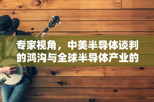 专家视角，中美半导体谈判的鸿沟与全球半导体产业的未来之路