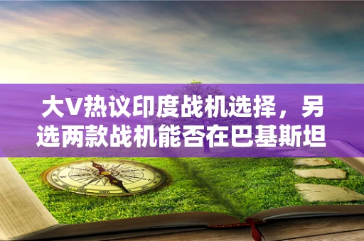 大V热议印度战机选择，另选两款战机能否在巴基斯坦冲突中占得上风？
