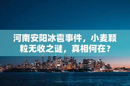 河南安阳冰雹事件，小麦颗粒无收之谜，真相何在？