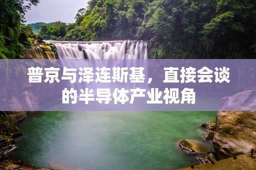 普京与泽连斯基，直接会谈的半导体产业视角