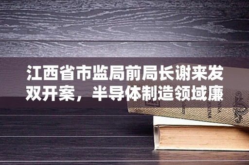 江西省市监局前局长谢来发双开案，半导体制造领域廉洁之问与行业反思