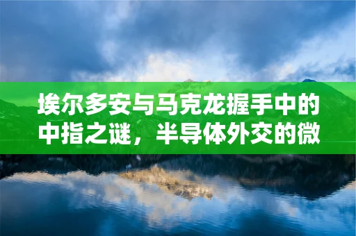埃尔多安与马克龙握手中的中指之谜，半导体外交的微妙信号？