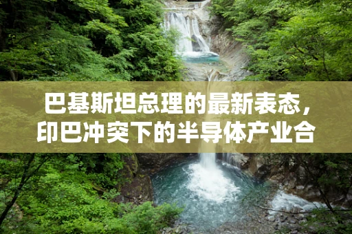 巴基斯坦总理的最新表态，印巴冲突下的半导体产业合作与安全挑战