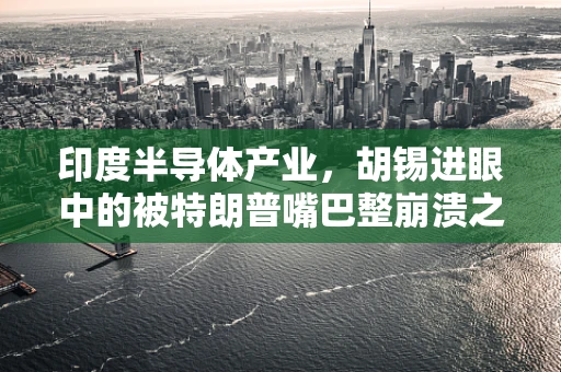 印度半导体产业，胡锡进眼中的被特朗普嘴巴整崩溃之谜？