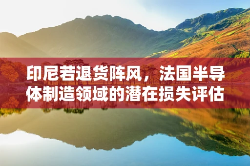 印尼若退货阵风，法国半导体制造领域的潜在损失评估