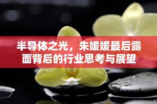 半导体之光，朱媛媛最后露面背后的行业思考与展望